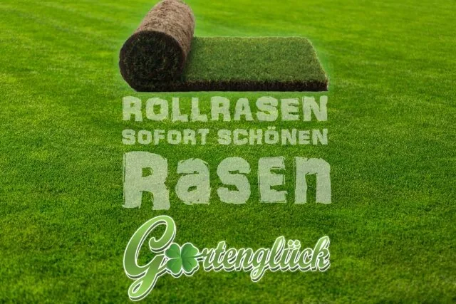 Rollrasen — sofort grün